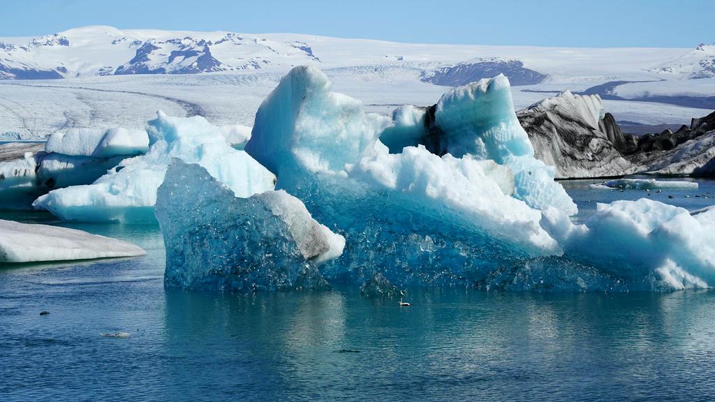Arctic Monitoring System